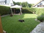 Ferienwohnung Feenhaus - Top-Hundeurlaub