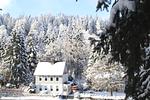 Villa Familienglück im Harz - Top-Hundeurlaub
