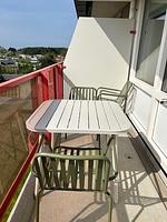 Westwing 79 - Top-Hundeurlaub