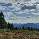 Ferienwohnung Heimatglück im Schwarzwald - Top-Hundeurlaub