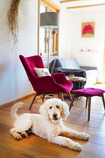 Ferienwohnung Heimatglück im Schwarzwald - Top-Hundeurlaub