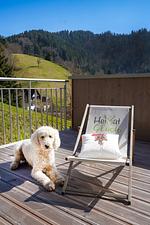 Ferienwohnung Heimatglück im Schwarzwald - Top-Hundeurlaub
