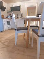 Ferienwohnung Rosengarten am Nationalpark Hunsrück Hochwald - Top-Hundeurlaub