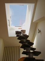 Ferienwohnung Blueberry Hill in Berlin - Top-Hundeurlaub