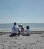 Residence Oasi an der Adria - Top-Hundeurlaub