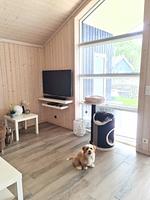 Strandhaus Nr.9 am gr. Plöner See mit eingezäuntem Grundstück, Kaminofen, Sauna, Whirlwanne, max. 6 Pers. - Top-Hundeurlaub