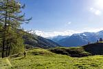 Barrierefreies Appartement im Salzburger Land - Top-Hundeurlaub