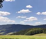 Ferienwohnung im Stinneshof im Schwarzwald - Top-Hundeurlaub