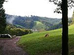Ferienwohnung im Stinneshof im Schwarzwald - Top-Hundeurlaub