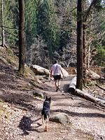 Prünsterhof in Schenna bei Meran - Top-Hundeurlaub