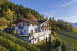 Prünsterhof in Schenna bei Meran - Top-Hundeurlaub