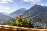 Prünsterhof in Schenna bei Meran - Top-Hundeurlaub