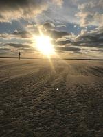 Ferienwohnung Sandkiste in Sankt Peter Ording am Wattenmeer  - Top-Hundeurlaub