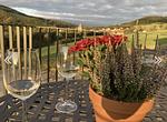 Diemelblick 26 im Sauerland - Top-Hundeurlaub