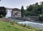 Diemelblick 26 im Sauerland - Top-Hundeurlaub