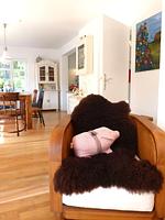 Sessel mit Deko in dem Ferienhaus Koggenhüs in Norddorf auf Amrum - Ferienhaus *Koggenhüs* - Top-Hundeurlaub