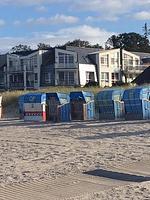 Skandinavienblick Strandläufer 2,6 - Top-Hundeurlaub