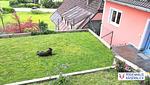 Ferienhaus Kaiserblick - Top-Hundeurlaub