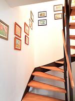 Ferienhaus Kaiserblick - Top-Hundeurlaub