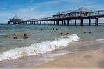 Strand - Appartement 03 nur 300 m zum Strand - Hunde sind Willkommen - Top-Hundeurlaub
