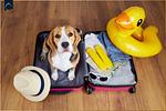 Appartement 03 - Top-Hundeurlaub