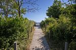 Landschaft - Appartement 04 nur 300 m zum Strand, Hunde sind Willkommen - Top-Hundeurlaub