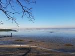 Apartmenthaus am Nordseestrand Whg. 2, An der Rennweide 1B, 78 qm - Top-Hundeurlaub