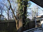 Apartmenthaus am Nordseestrand Whg. 4 An der Rennweide 1B, 75qm - Top-Hundeurlaub