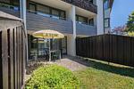 Gartenblick - Ein-Zimmer-Apartment 49/03 - Top-Hundeurlaub