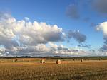 Landschaft - Ferienwohnung *Fenja* - Top-Hundeurlaub