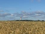 Landschaft - Ferienwohnung *Fenja* - Top-Hundeurlaub