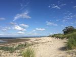 Landschaft - Ferienwohnung *Fenja* - Top-Hundeurlaub
