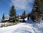 Landschaft - Geräumiges Ferienhaus mit Sauna, Glasfaser und herrlichem Blick in die Berge - Top-Hundeurlaub