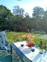 Terrasse - 47.0.M Seestern - Top-Hundeurlaub