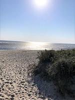 Strand - 47.0.M Seestern - Top-Hundeurlaub