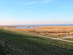 Meerblick - 47.0.M Seestern - Top-Hundeurlaub