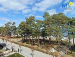 Nachbarschaft - Ferienwohnung Adlerhorst - Top-Hundeurlaub