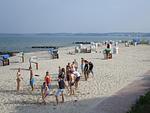 Ferienwohnung Ostseering - Top-Hundeurlaub
