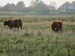 Ferienwohnung Ostseering - Top-Hundeurlaub