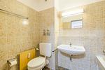 Badezimmer - Zwei-Zimmer-Apartment 49/33 - Top-Hundeurlaub
