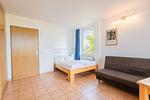 Wohnzimmer - Ein-Zimmer-Apartment 49/37 - Top-Hundeurlaub