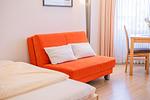 Wohnzimmer - Ein-Zimmer-Apartment 49/41 - Top-Hundeurlaub