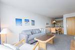 Wohnzimmer - Zwei-Zimmer-Apartment 49/45 - Top-Hundeurlaub