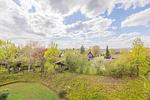 Gartenblick - Zwei-Zimmer-Apartment 49/45 - Top-Hundeurlaub