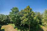 Gartenblick - Zwei-Zimmer-Apartment 49/46 - Top-Hundeurlaub