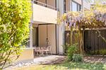 Ein-Zimmer-Apartment 51/03 - Top-Hundeurlaub