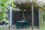 Terrasse - Zwei-Zimmer-Apartment 51/05 - Top-Hundeurlaub