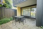 Terrasse - Zwei-Zimmer-Apartment 51/06 - Top-Hundeurlaub