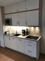 Küche / Küchenzeile - Modernes und helles 2-Zimmer-Apartment in ruhiger Lage.Hund erlaubt .Haus 5 .Nr.29 - Top-Hundeurlaub