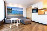 Wohnzimmer - Ein-Zimmer-Apartment 53/20 - Top-Hundeurlaub